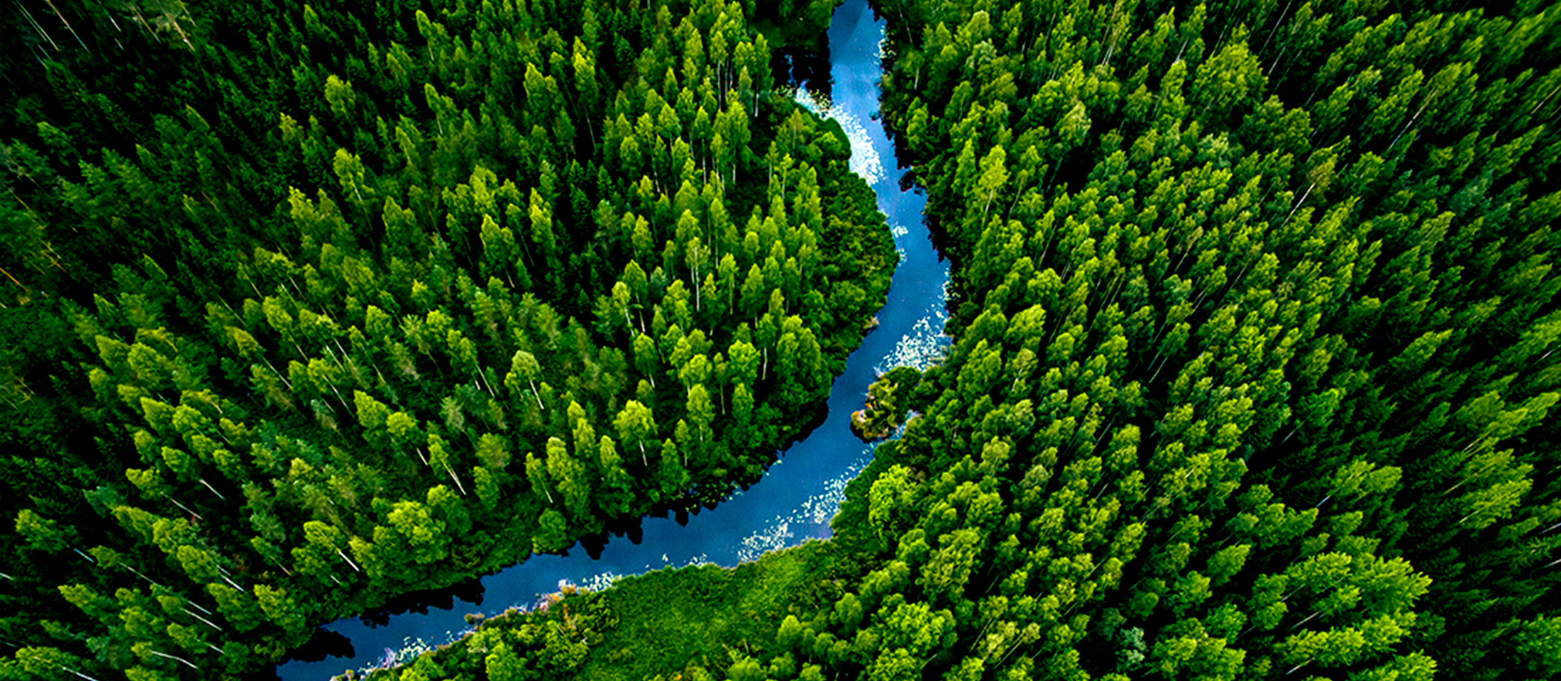 Sustainability