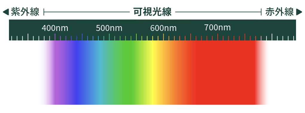 ◀︎ 紫外線 可視光線 赤外線 ▶︎