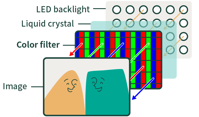 Image / Color filter / Liquid crystal / LED backlight