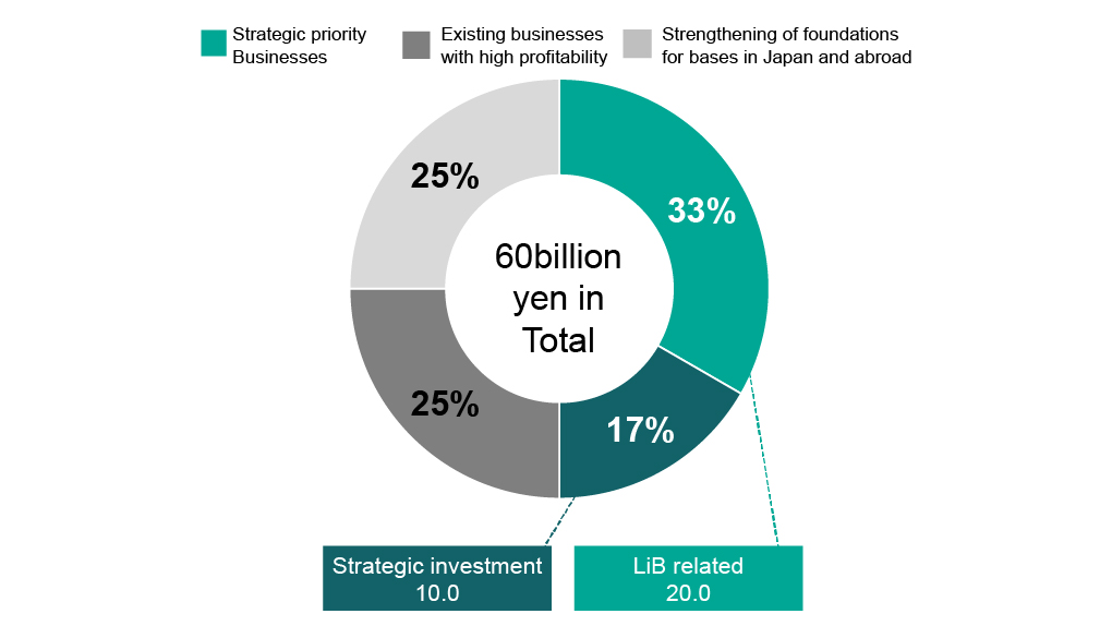 Allocation of capital investment plan