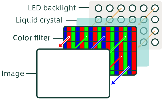 映像 / カラーフィルター / 液晶 / LEDバックライト